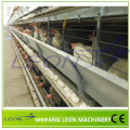 Leon series automatic poultry feeding system battery cage system totally automatic